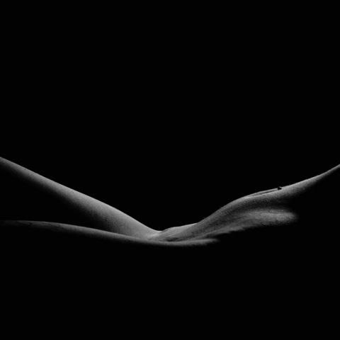 O H N O I T S L E X @officalohnoitslex cover picture