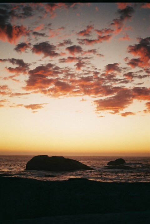 Olivia @oliveoilolivia cover picture