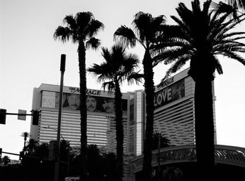 Olivia @oliveoyl cover picture