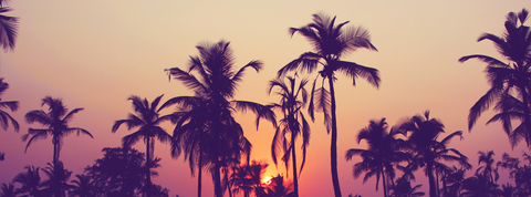 Olivia Bay @oliviabay cover picture