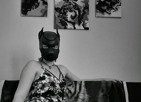 OneStretchyPup @onestretchypup cover picture