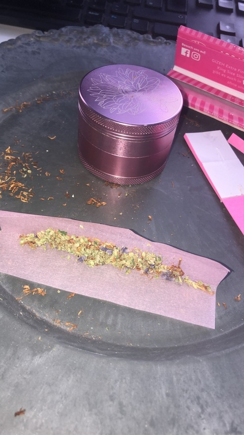 Malibu @onlymalibu cover picture