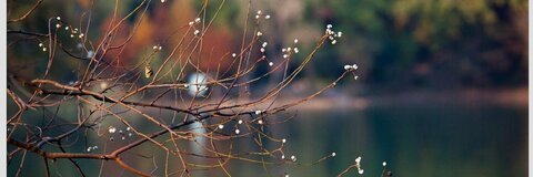 hengxing @ooo_xx cover picture