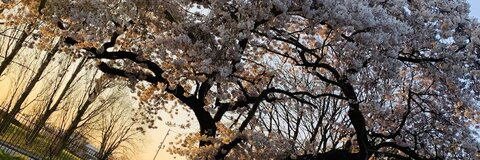 PaigeEliz 🎁 20th Nov 🎈 @paigeelizx cover picture