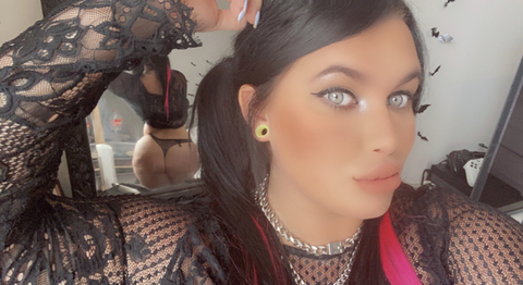 Paige Fox @paigehfox cover picture