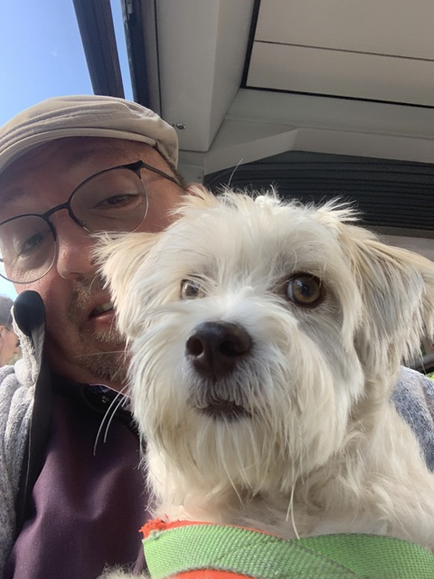 u10953963 @palmi cover picture