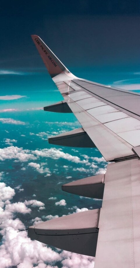 Pamela y josue @pamelax cover picture