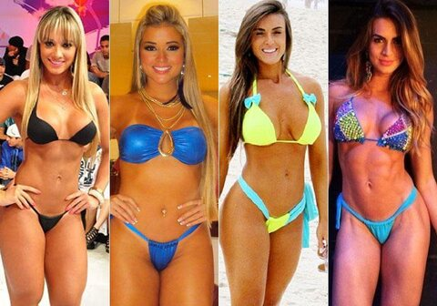 Panicats @panicats cover picture