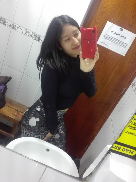 Paola 🇵🇪 @paolatorres cover picture