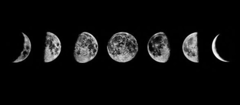 Pauli @paulig cover picture