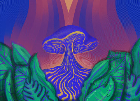 Paul Stalemints @paulstalemints cover picture