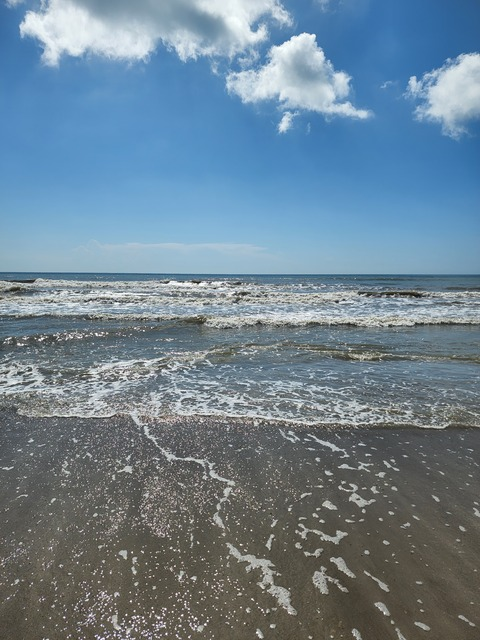 Peachesforyou98 @peachesforyou98 cover picture