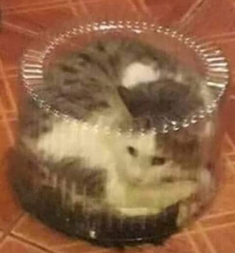 🤠 @peachjar cover picture