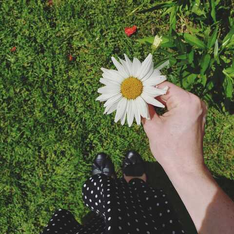 PeachyBrunette @peachy-brunette cover picture