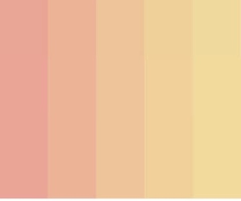 Peachy P @peachyy_p cover picture