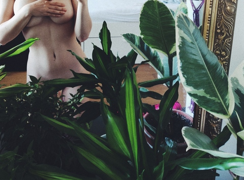 Perverzka @perrverzka cover picture