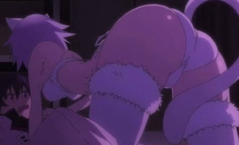puppy @petpupp cover picture