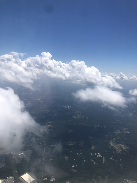 Samantha @pettyrose cover picture