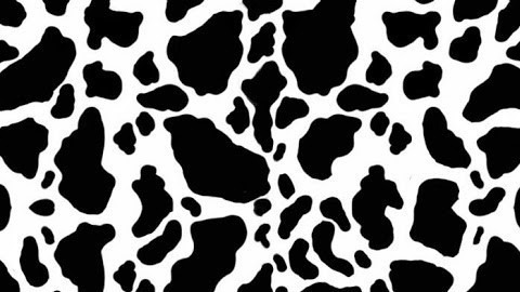 nana 🐮🤍 @piiinknana cover picture