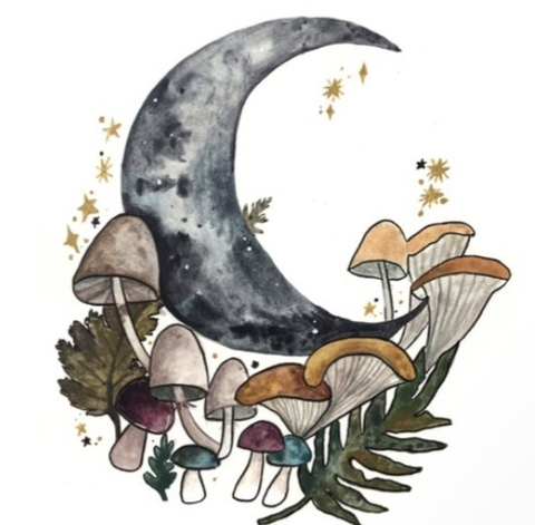 Pineapplebratt79 @pineapplebratt79 cover picture