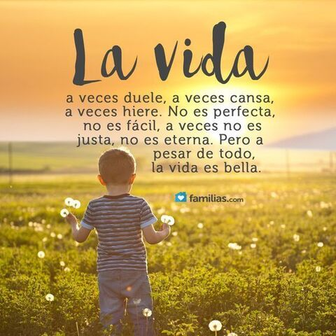 Jp @pineda cover picture