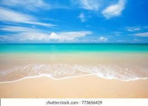 Pink Puma @pinkpuma cover picture