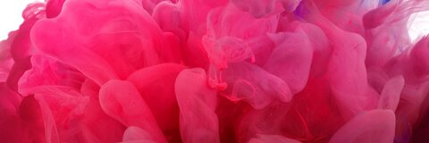 pippalee @pippalee cover picture