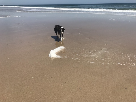 Pocahontas22 @pocahontas22 cover picture