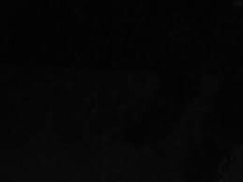 Priscilla yasury @priscillayasury cover picture