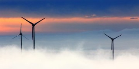 Jester @private_dweller cover picture