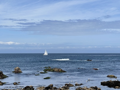 Jason @projekt cover picture