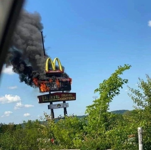 Q @prolapse cover picture