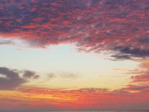 Psychedelic Kitty @psychedelickitty cover picture