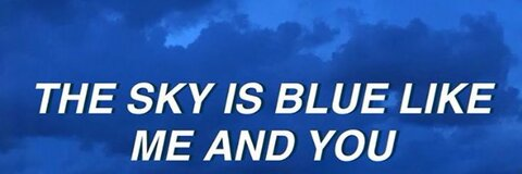 halle cat 😿 @puffpuffpout cover picture