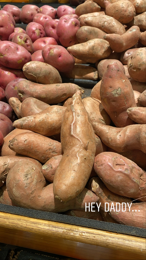 Pusssyshots @pusssyshots cover picture