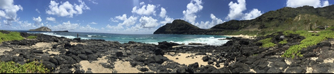PytHawaiian @pythawaiian cover picture