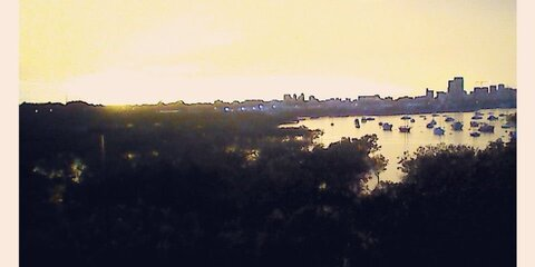 PupCojack @r_j89er cover picture