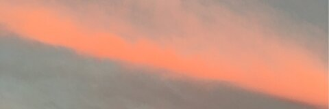 Soph @rachxl cover picture