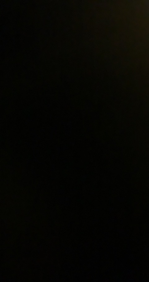 sofia @rapunzel02 cover picture