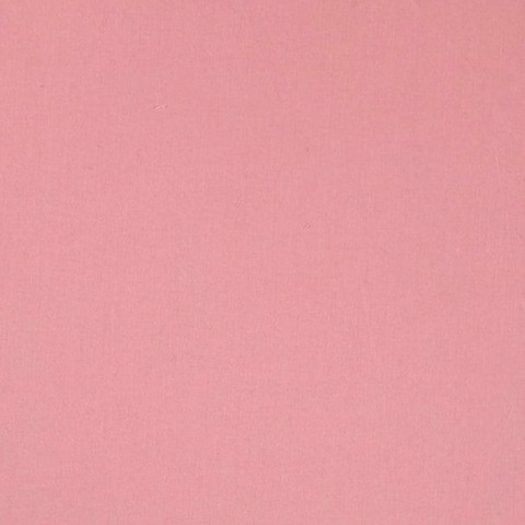 🤍 @rbls_25 cover picture