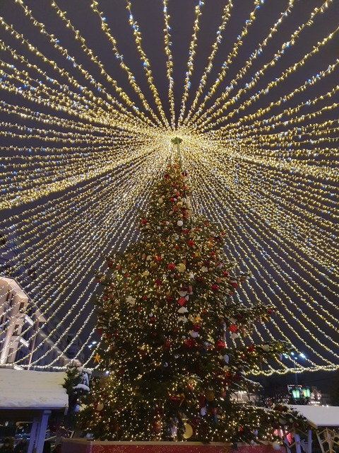 Roma @realm cover picture