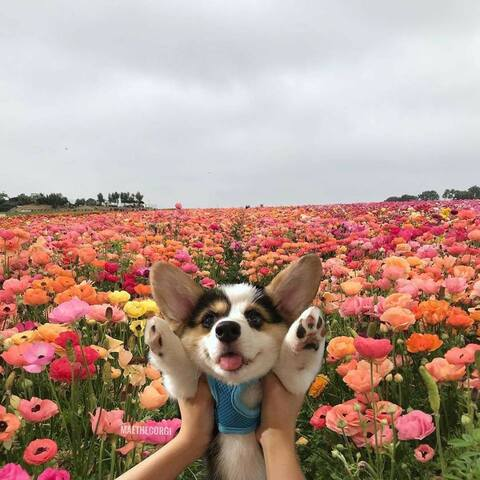 rebecca69 @rebecca69 cover picture