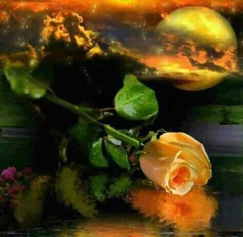 Reina @reinacaliente cover picture