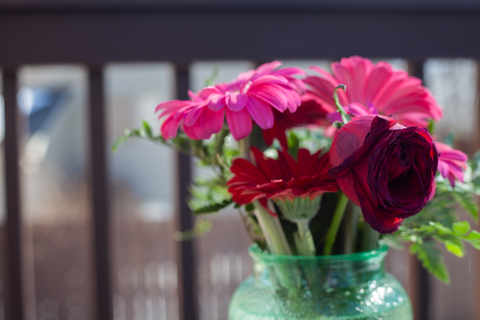 Remi Lynn @remilynn cover picture