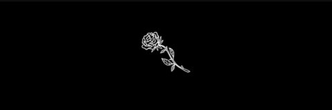r e n u 🌙 @renaa cover picture