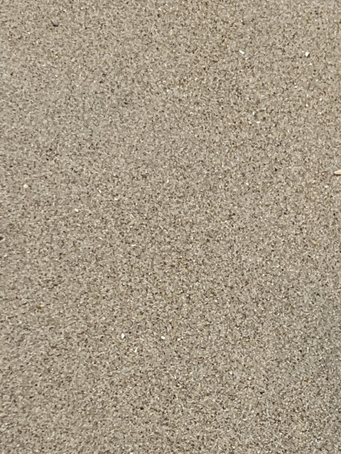 Bull @rgnbull cover picture