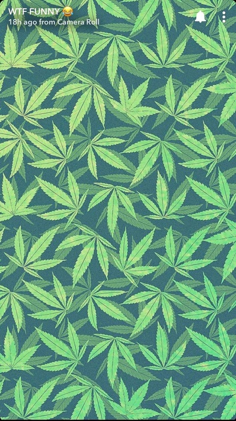 Río Jaxson @riodelrey cover picture