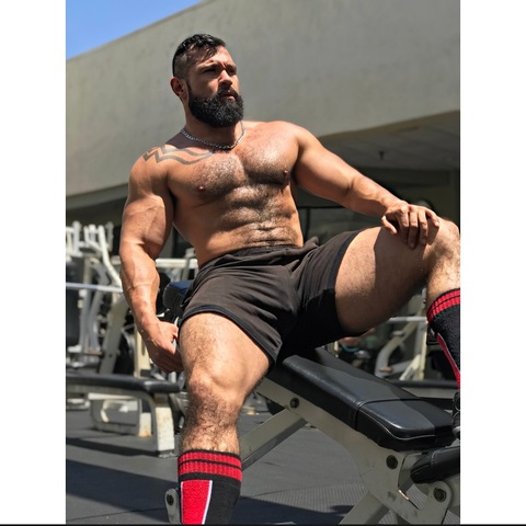 HairyHungDaddy @roccosoar cover picture