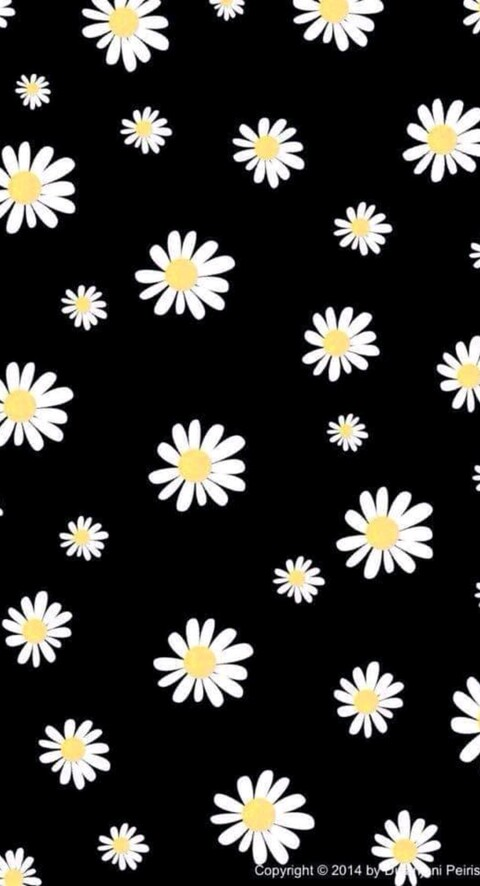 LUNA @rosariog cover picture