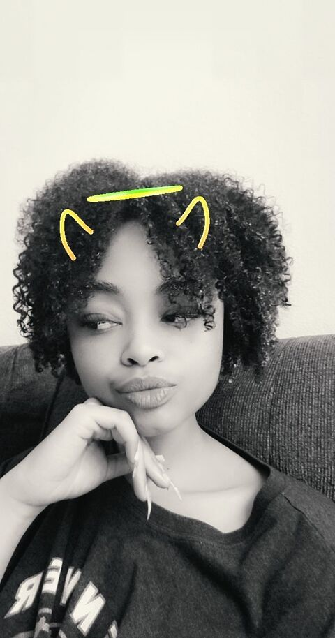 Scarlet Rose @roses.garden cover picture